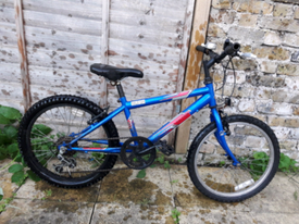 raleigh elia ladies mountain bike